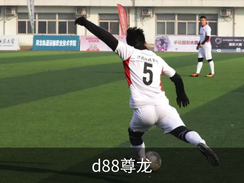 d88尊龙,d88尊龙官网,d88尊龙中国